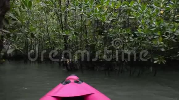 穿越克拉比的红树林视频的预览图