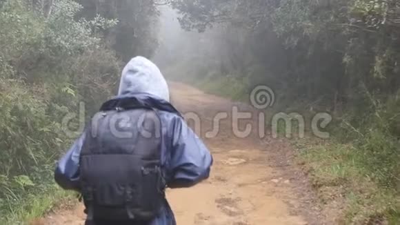 徒步旅行的女人带着背包在热带潮湿的森林里奔跑小女孩穿着雨衣在旅途中沿着木小径慢跑视频的预览图