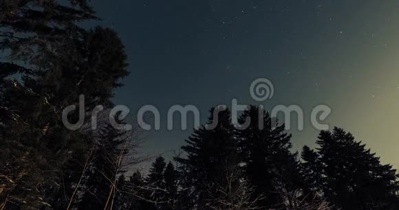 冬季森林时光的星空视频的预览图