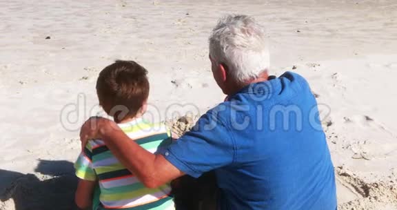 祖父和孙子在海滩上互相交流视频的预览图