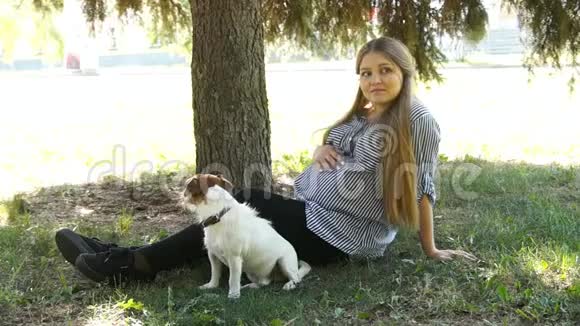 女人和狗在公园里散步怀孕的女孩公园里的孕妇视频的预览图
