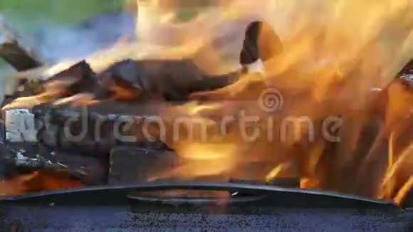 一场大火烧在烤架上视频的预览图