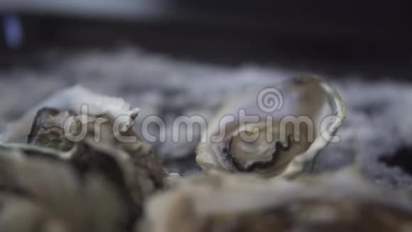 健康的海鲜新鲜开放的牡蛎与桑拿视频的预览图