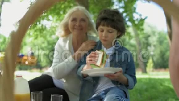 积极的小男孩和家人一起野餐视频的预览图