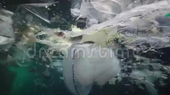 海洋的塑料污染塑料袋瓶子袋子与水母一起漂浮在水中保加利亚黑海视频的预览图