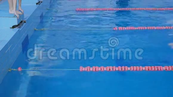 接力赛泳池里的比赛视频的预览图