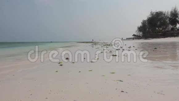 Nungwi村的海滩视频的预览图