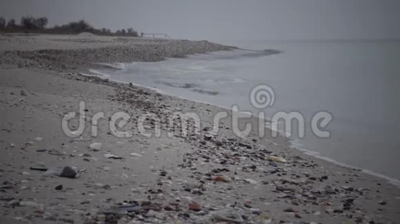 宽沙滩金本斯皮特视频的预览图