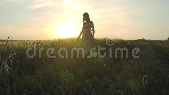 美丽迷人的欧洲女孩长腿短裙带花走在黑麦场背景下视频的预览图