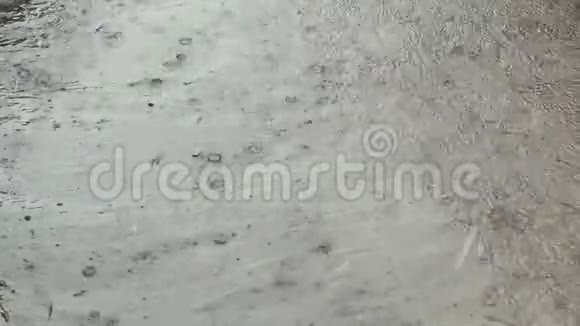 沥青上下大雨夏季雷雨大雨落在城市上视频的预览图