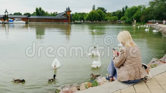 一个年轻的女人和天鹅坐在湖上使用智能手机视频的预览图