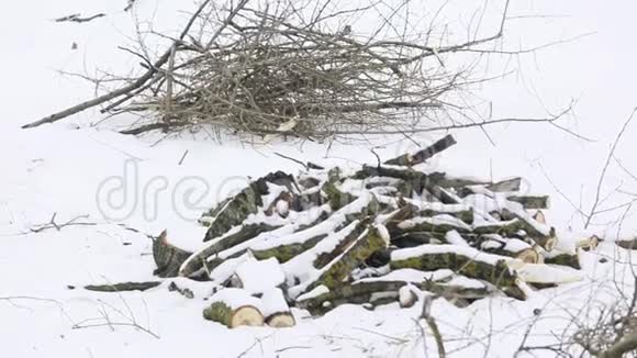 一棵干燥的落叶树上折断的树枝躺在森林里白雪覆盖的地面上视频的预览图