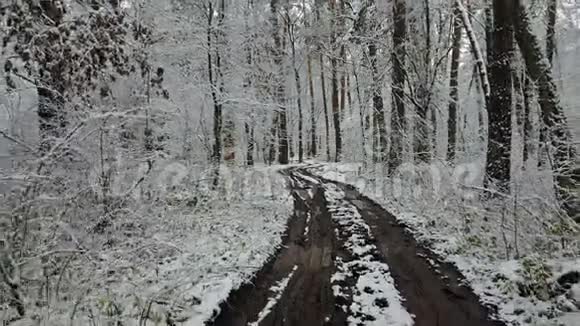 冬季森林中肮脏道路的景色视频的预览图