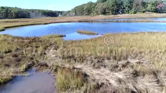 空中无人机飞越沼泽经过草地和水4K视频的预览图