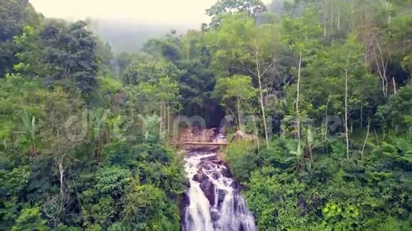 在亚洲美丽的巴厘岛天堂瀑布和丛林热带雨林之上用无人机进行空中拉离和倾斜射击视频的预览图
