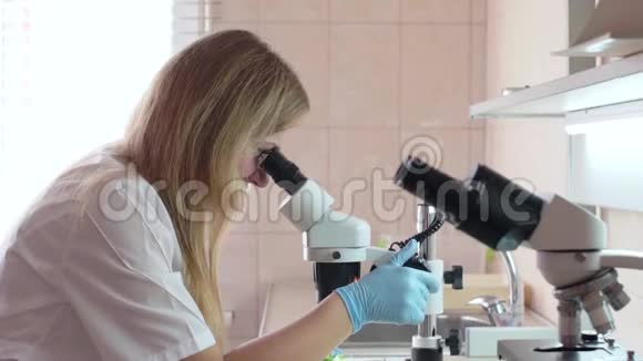 一位实验室助理女士在显微镜下检查一株植物视频的预览图