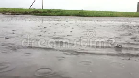 水坑里的雨滴视频的预览图