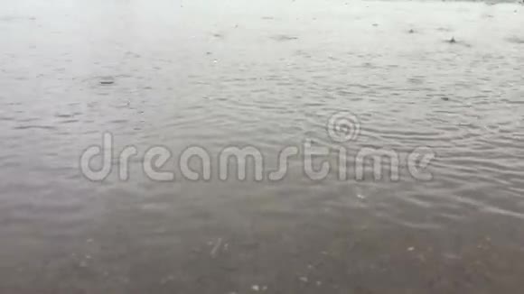 水坑里的雨滴视频的预览图