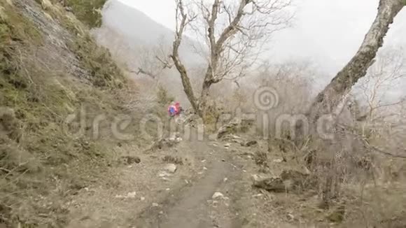 一对夫妇在尼泊尔山区的神秘森林情侣视频的预览图