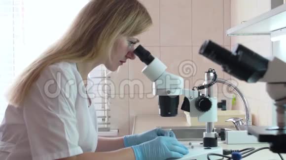 一位实验室助理女士在显微镜下检查一株植物视频的预览图