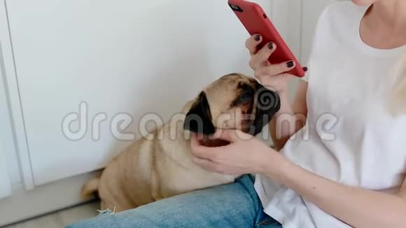女人在厨房里用智能手机抚摸狗视频的预览图