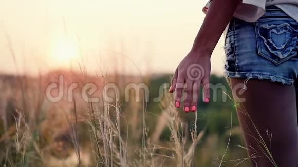 夕阳西下的女孩在一片秋野上开着花抚摸着高野草的手视频的预览图