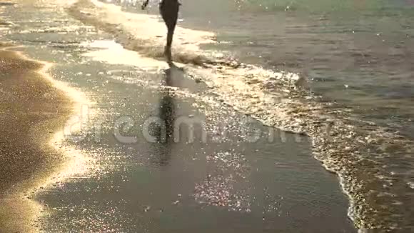 海滨女士跑步剪影视频的预览图