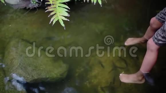 小男孩的脚在丛林中的天然池塘里有鱼水疗1920x1080视频的预览图