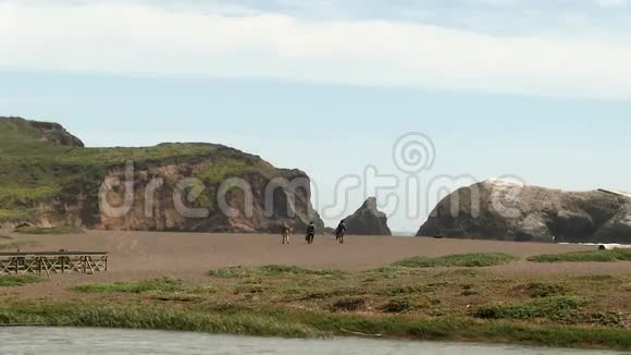三个人在风沙滩上远离镜头视频的预览图