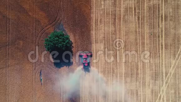 联合收割机在农村的大麦田工作空中无人机视野视频的预览图