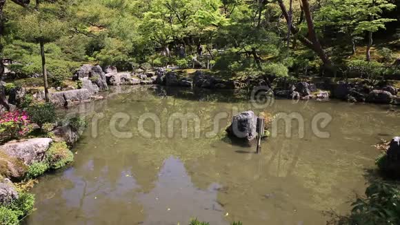 金阁吉京都湖视频的预览图