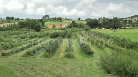 4kAsturian绿色田野舒适的丘陵小屋乡村住宅花园和庭院的乡村景色视频的预览图
