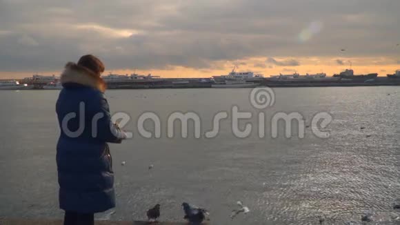 一个女人站在岸边喂海鸥晚上时间视频的预览图