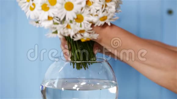女人把雏菊花束放在玻璃碗里视频的预览图