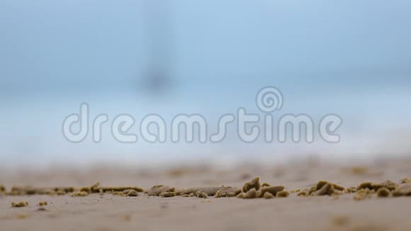 在沙滩和海岸线之间转移焦点视频的预览图