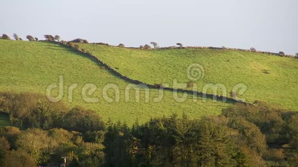 爱尔兰青山绿水石墙视频的预览图