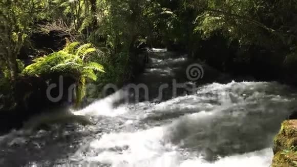 新西兰的白水河视频的预览图