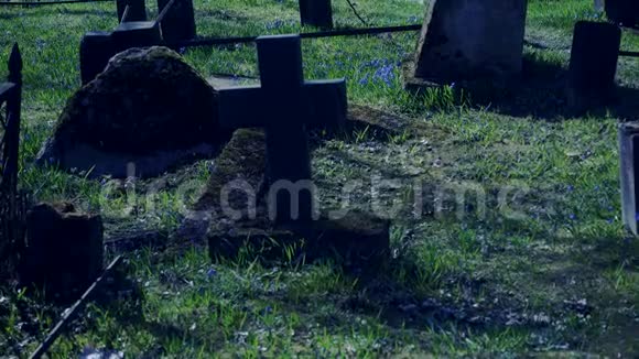 旧墓地的十字架和坟墓视频的预览图