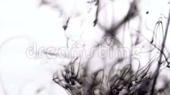白色背景下水中黑色墨水的特写一滴黑色墨水在水中飞溅创造了抽象视频的预览图