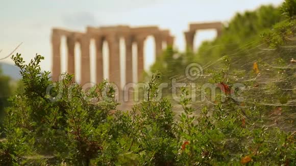 古老的建筑纪念碑奥林匹亚宙斯神庙的视频的预览图
