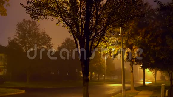 雾中路灯夜路交通视频的预览图