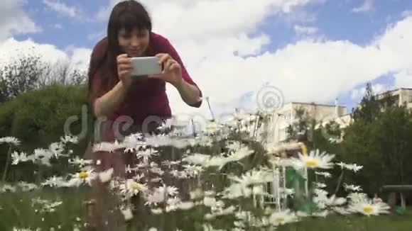 一位年轻女子正在室外用手机拍摄一张洋甘菊的照片视频的预览图