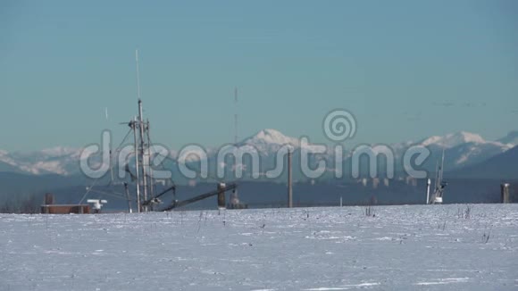 雪地鹅登陆加里点慢动作4KUHD视频的预览图