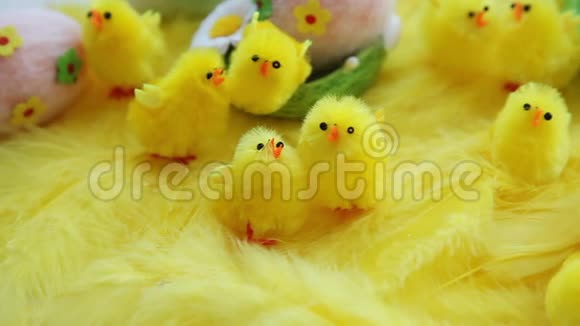 幼黄色复活节玩具小鸡和鸡蛋的背景羽毛节日视频贺卡视频的预览图