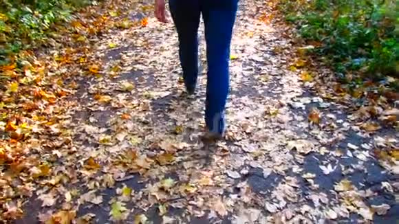 女腿沿着林间小道行走秋天散落着黄色的落叶视频的预览图
