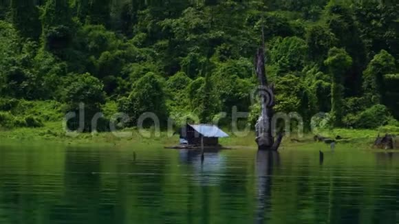 在靠近丛林的湖岸上的一座独立的房子视频的预览图