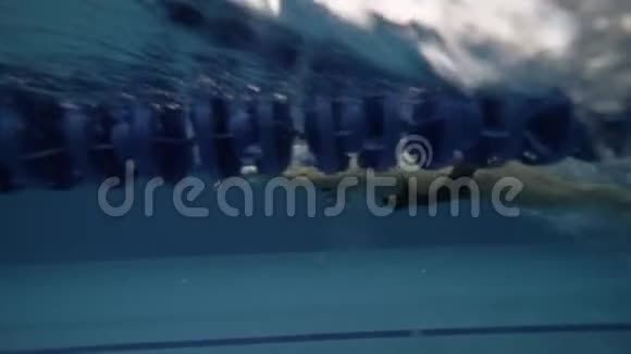 年轻女子游泳蝶泳风格的透明游泳池水下景观视频的预览图
