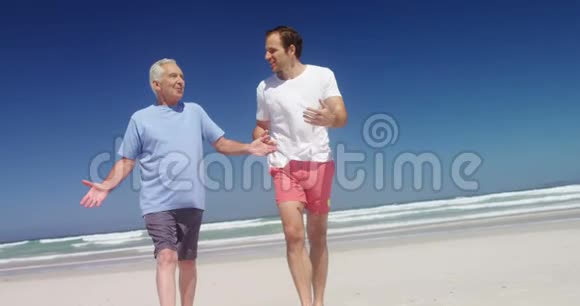 父子在海滩上相互交流视频的预览图