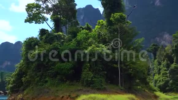 湖中央的绿色小岛热带森林茂密视频的预览图