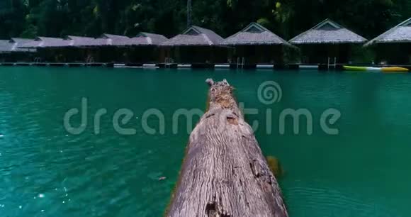 空中一棵大树干沿着湖面漂流视频的预览图